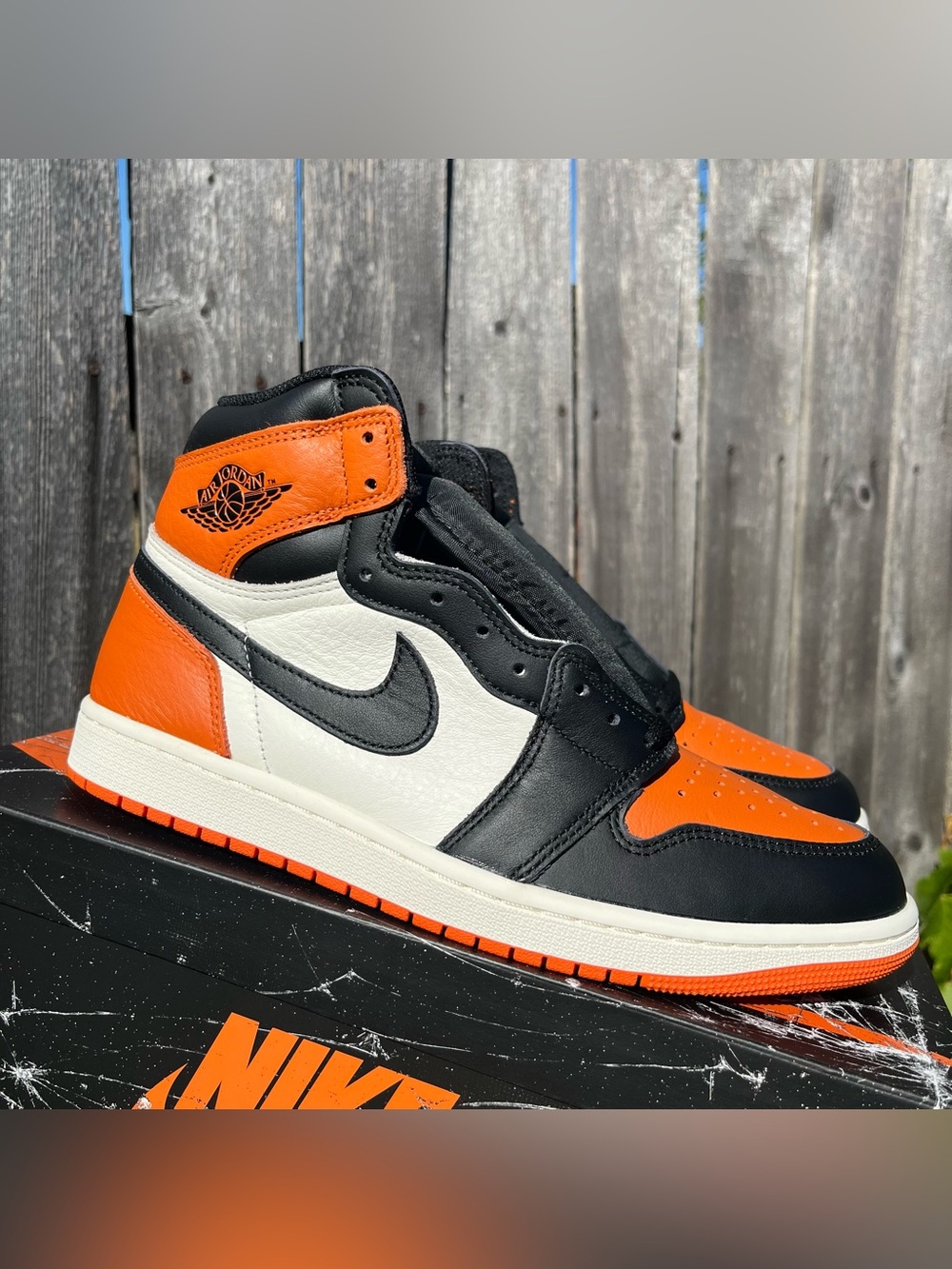 Nike Air Jordan 1 Shatttered backboard size 10 men